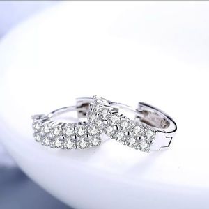 Small Hoop Earrings